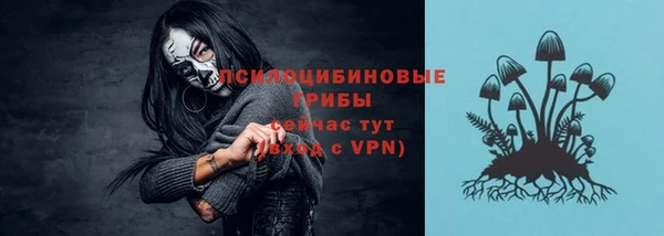 прущая мука Бородино