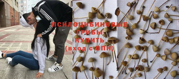 прущая мука Бородино
