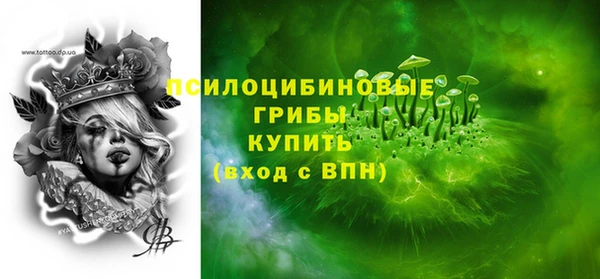 МДПВ Бугульма