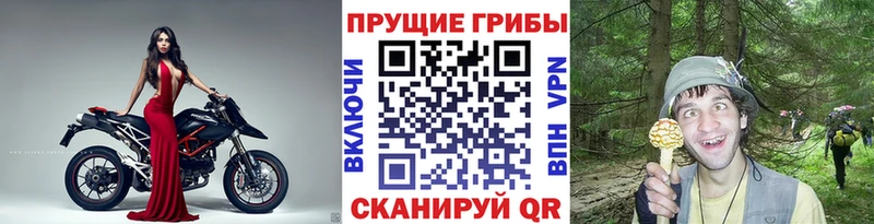 Галлюциногенные грибы мухоморы Жуковский